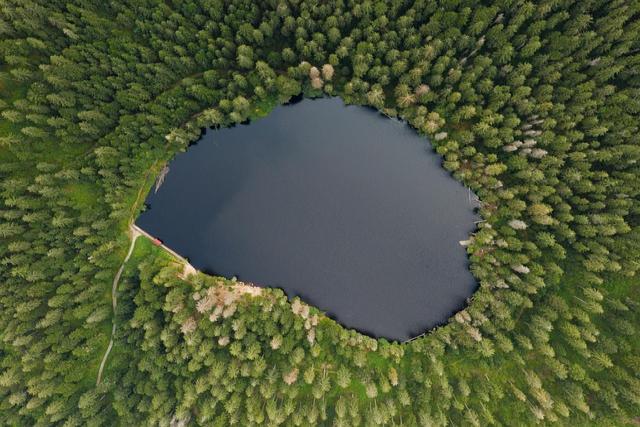 drone fotogrametria forestal